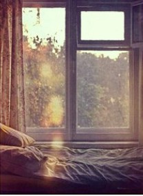cropped-img_11453.jpg