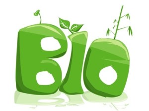 Bio