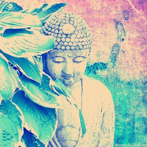 Buddha-Garden_Nashville-_Cut