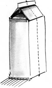 tetra