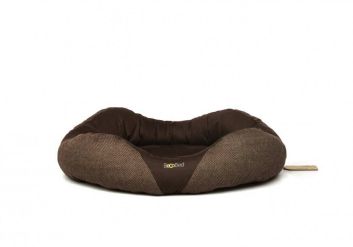 Becobed-Oeko-Hundebett-von-Becothings_379-3