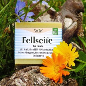 fellseife_webbild_2